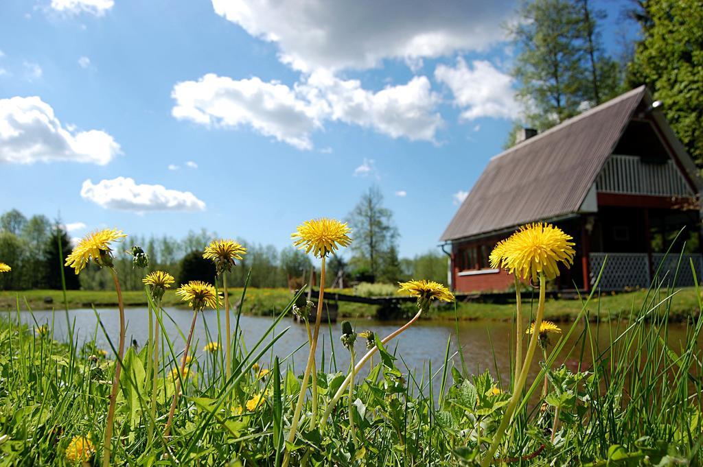 Rehe Turismitalu Hostal Kuijõe Exterior foto